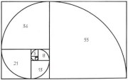spirala lui fibonacci